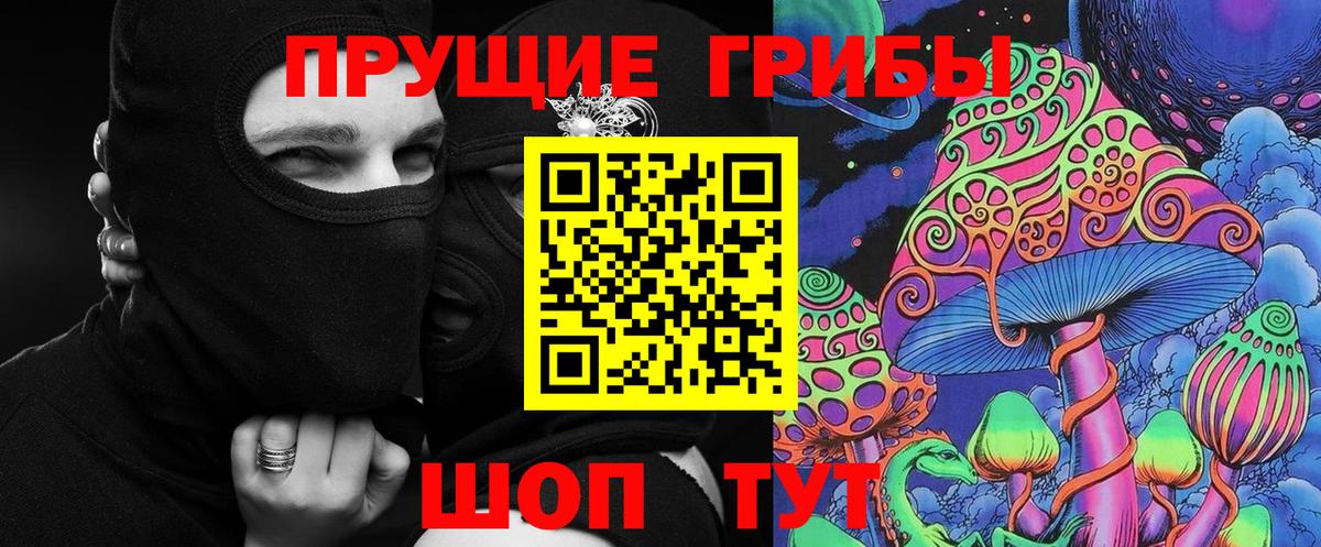Псилоцибиновые грибы мицелий  Вход с VPN  Галлюциногенные грибы Psilocybe  Тара 