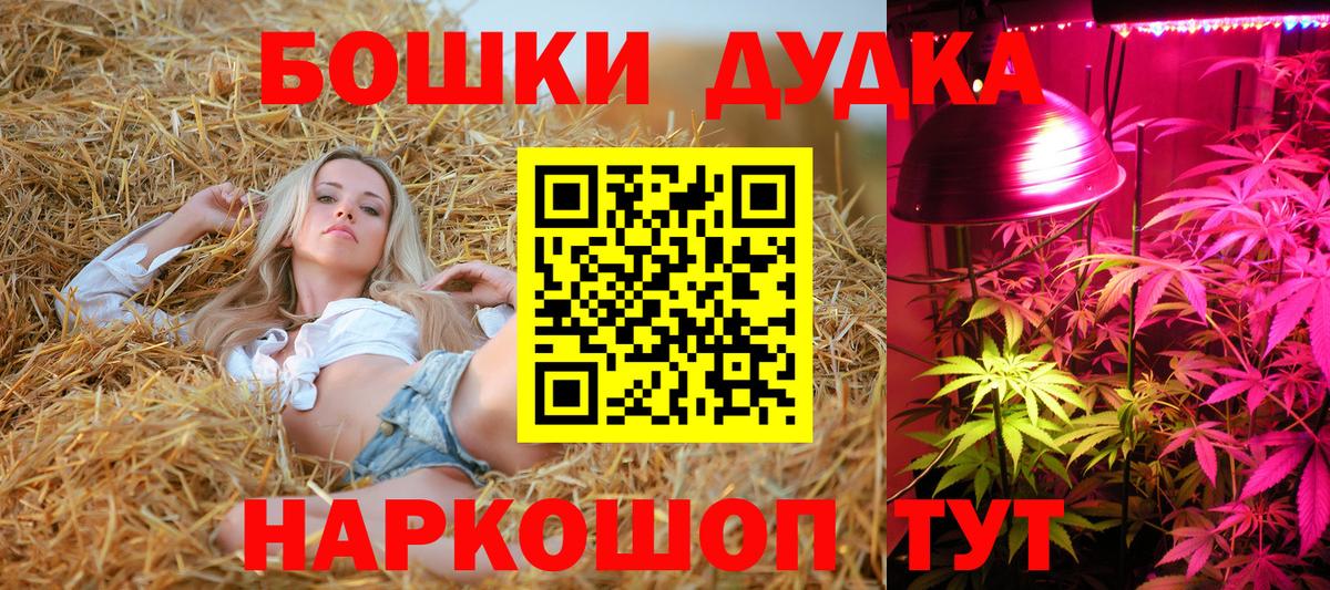 Тара  Шишки марихуана семена  Вход с VPN  Марихуана Amnesia  Конопля ГИДРОПОН 